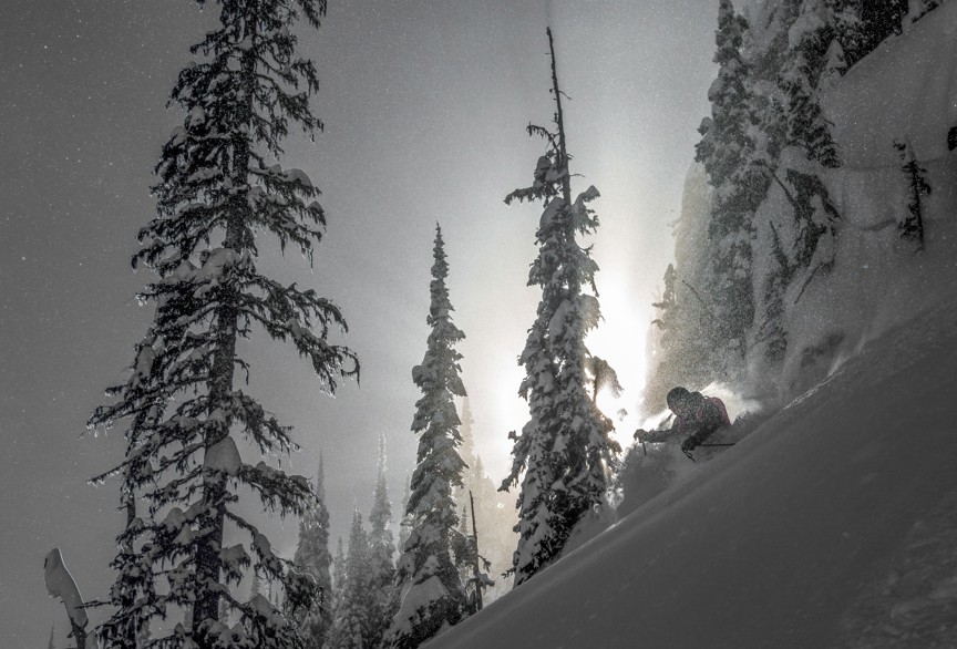 A skier cruising down a mountain near tall snow covered trees in the Monashee Mountains